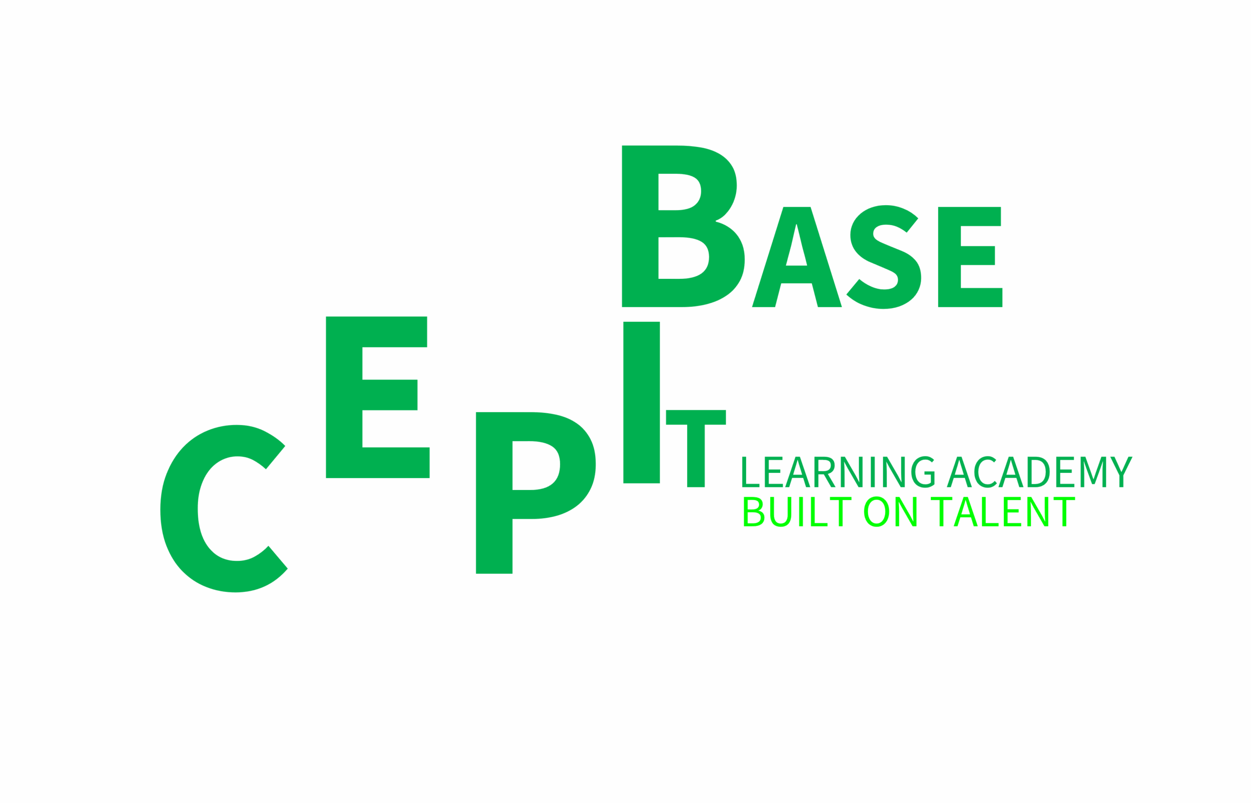 CEPI-BASE, Academia Informática